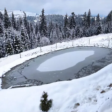 цімбори * Yablunytsya