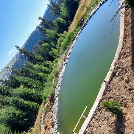 Appartamento цімбори