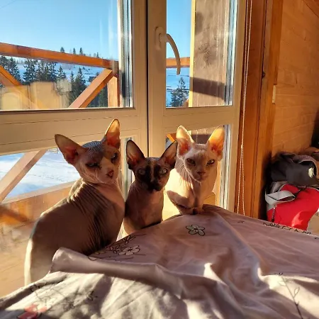 цімбори Apartamento Yablunytsya