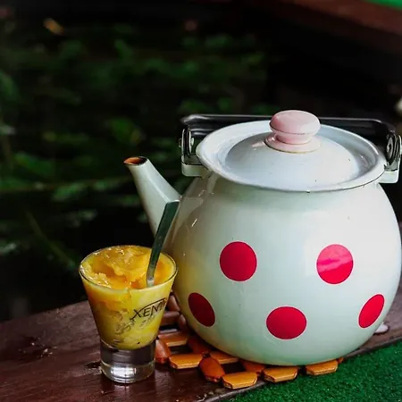 цімбори Apartment Yablunytsya